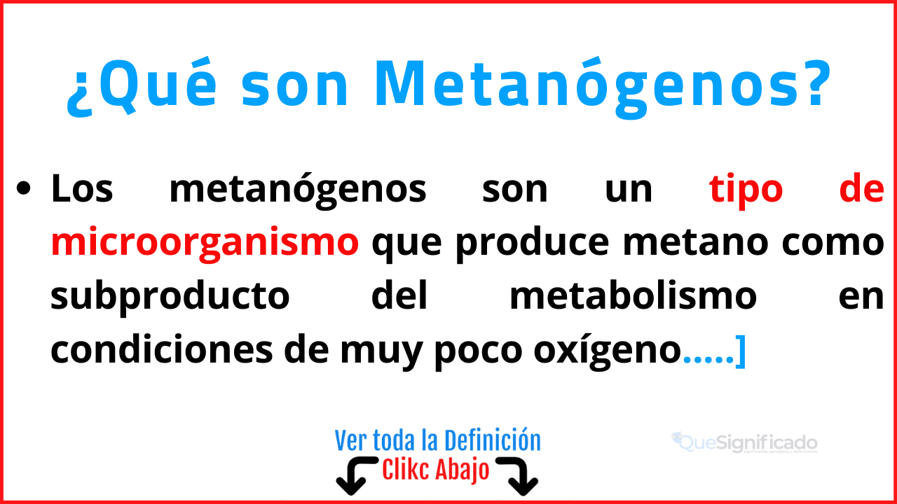 Qué son Metanógenos